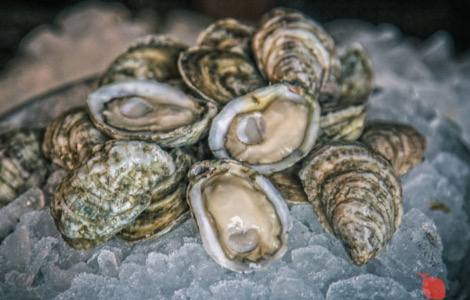 Tri pravila pripreme kvalitetnih morskih plodova