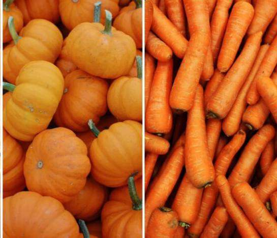 Zašto je bundeva korisnija od mrkve